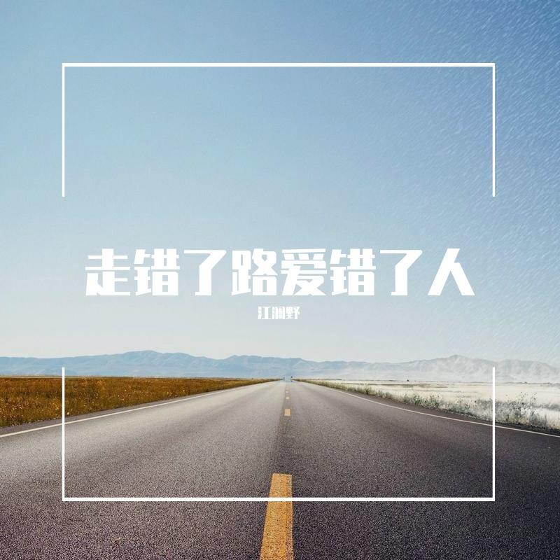 走错了路爱错了人封面