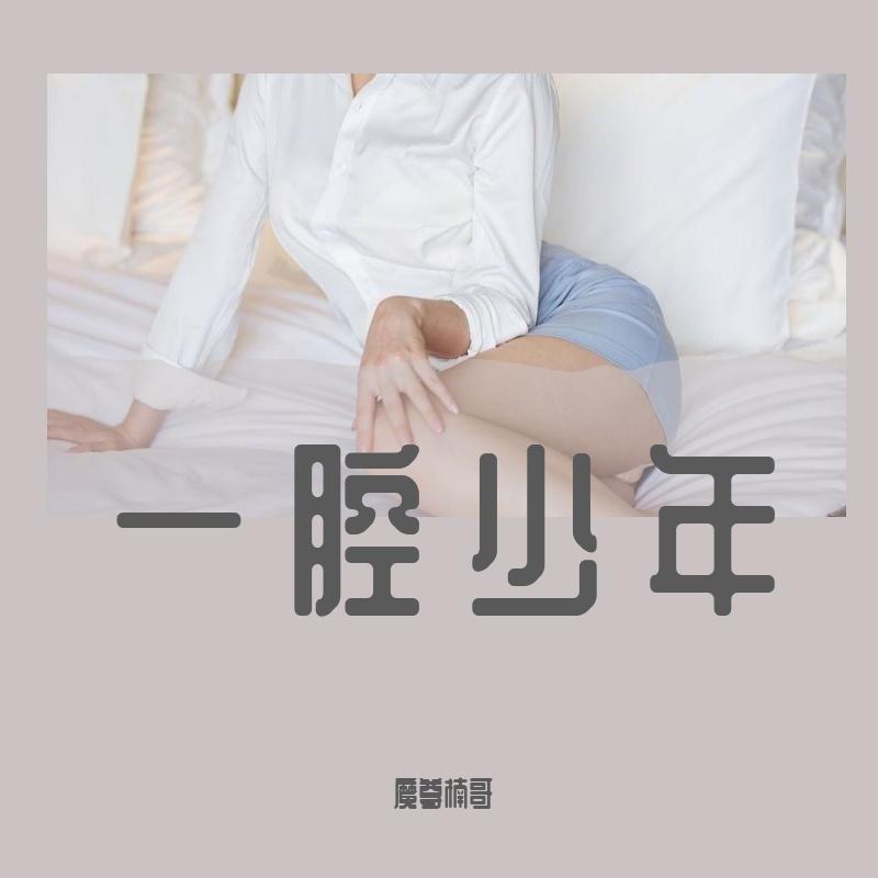 一腔少年封面