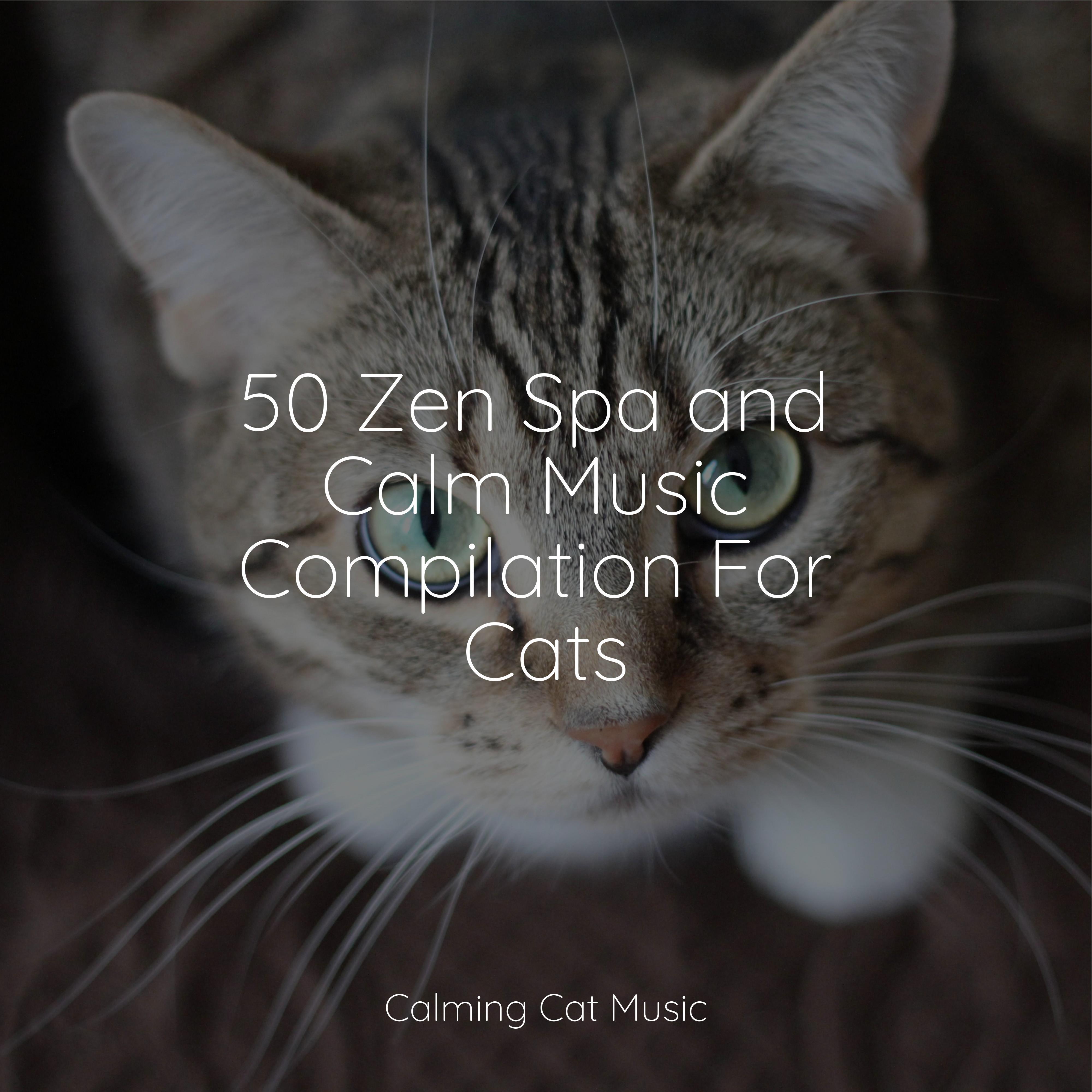 Lazy Morning Music for Resting Cats/Music for Relaxing Cats/Music for