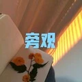 陪我遗忘封面