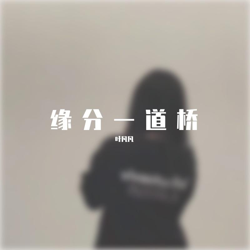 缘分一道桥 DJ版封面