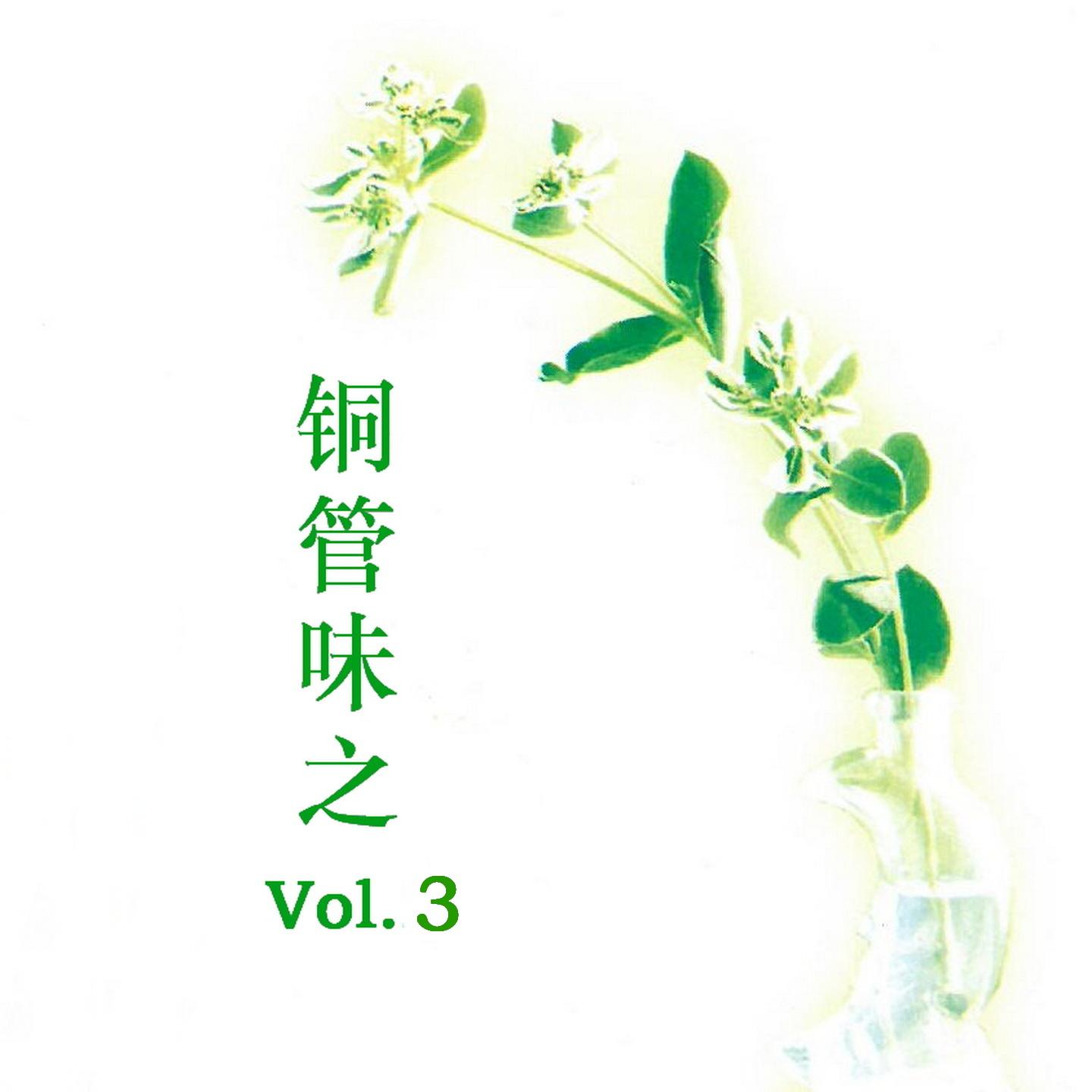 魂系旧梦 - 新时代轻音乐团封面