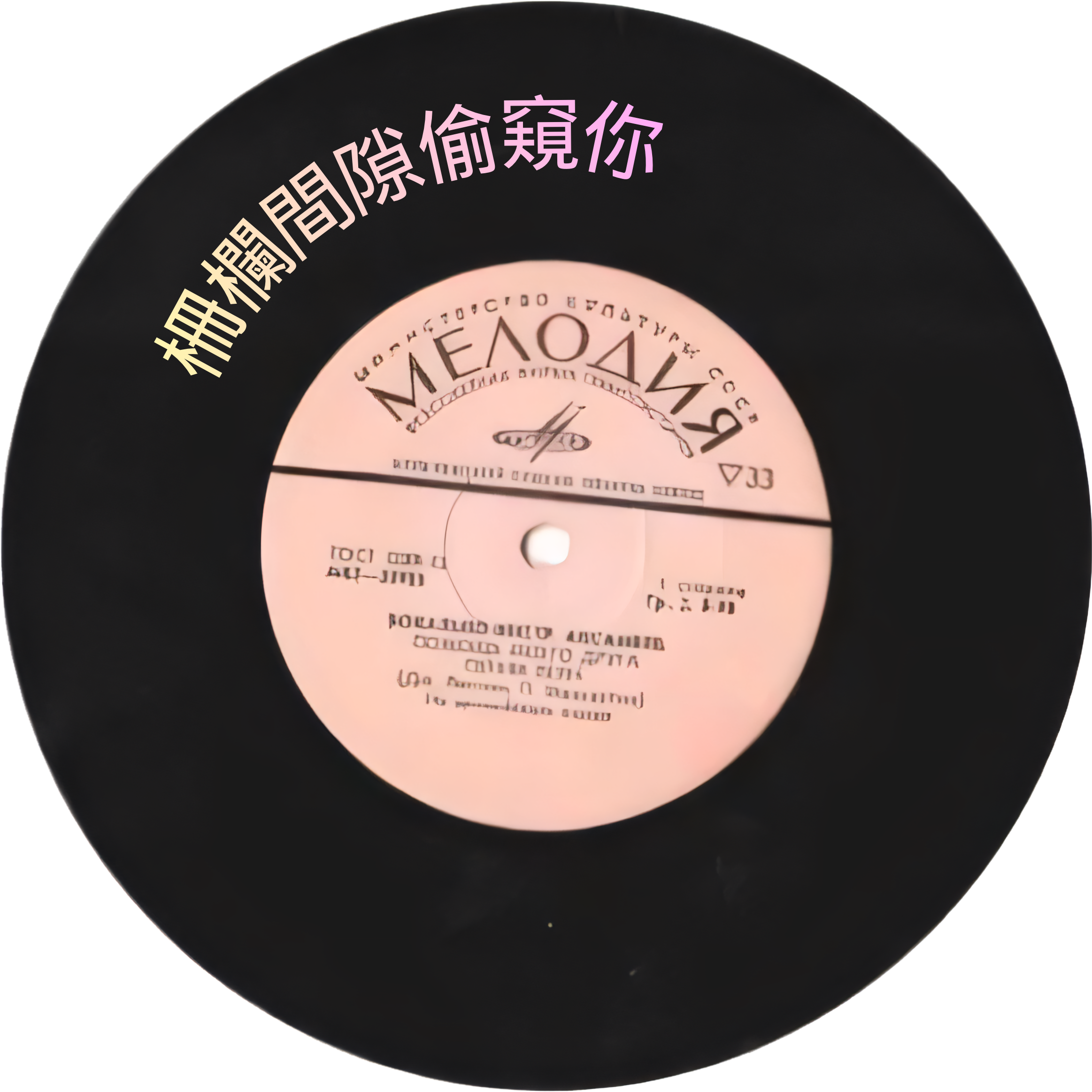 栅栏间隙偷窥你封面