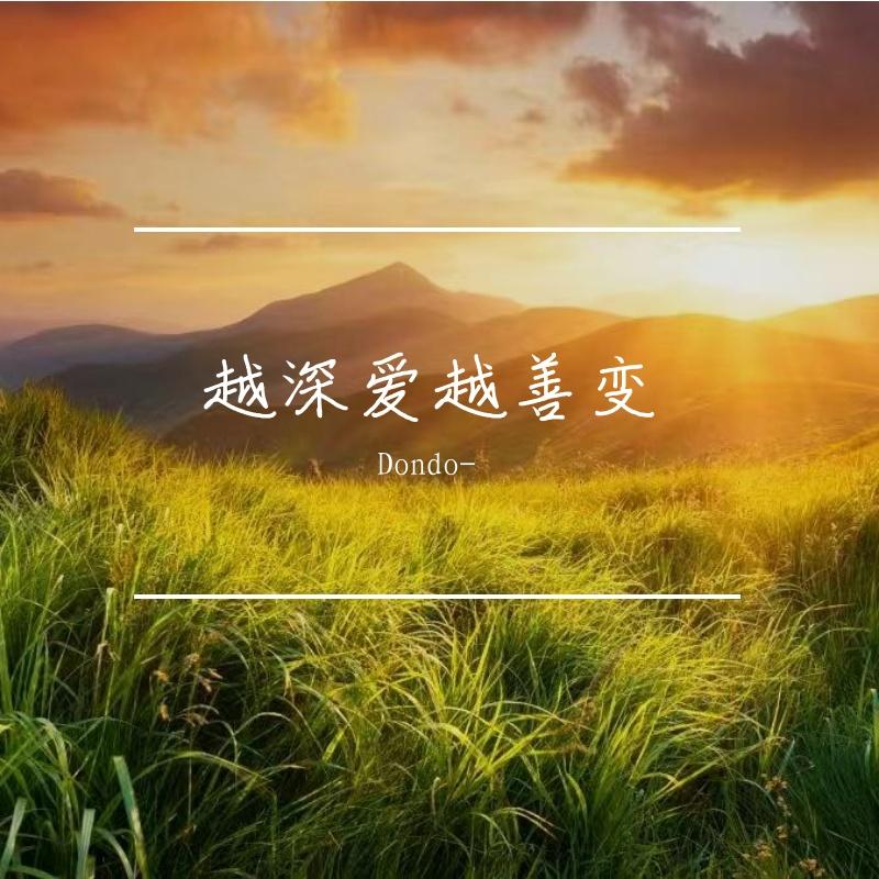 孤勇照前路封面