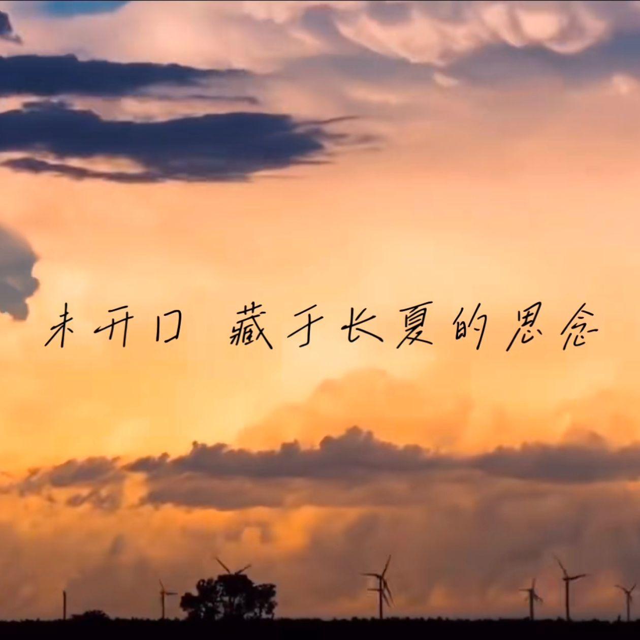 雨夏封面