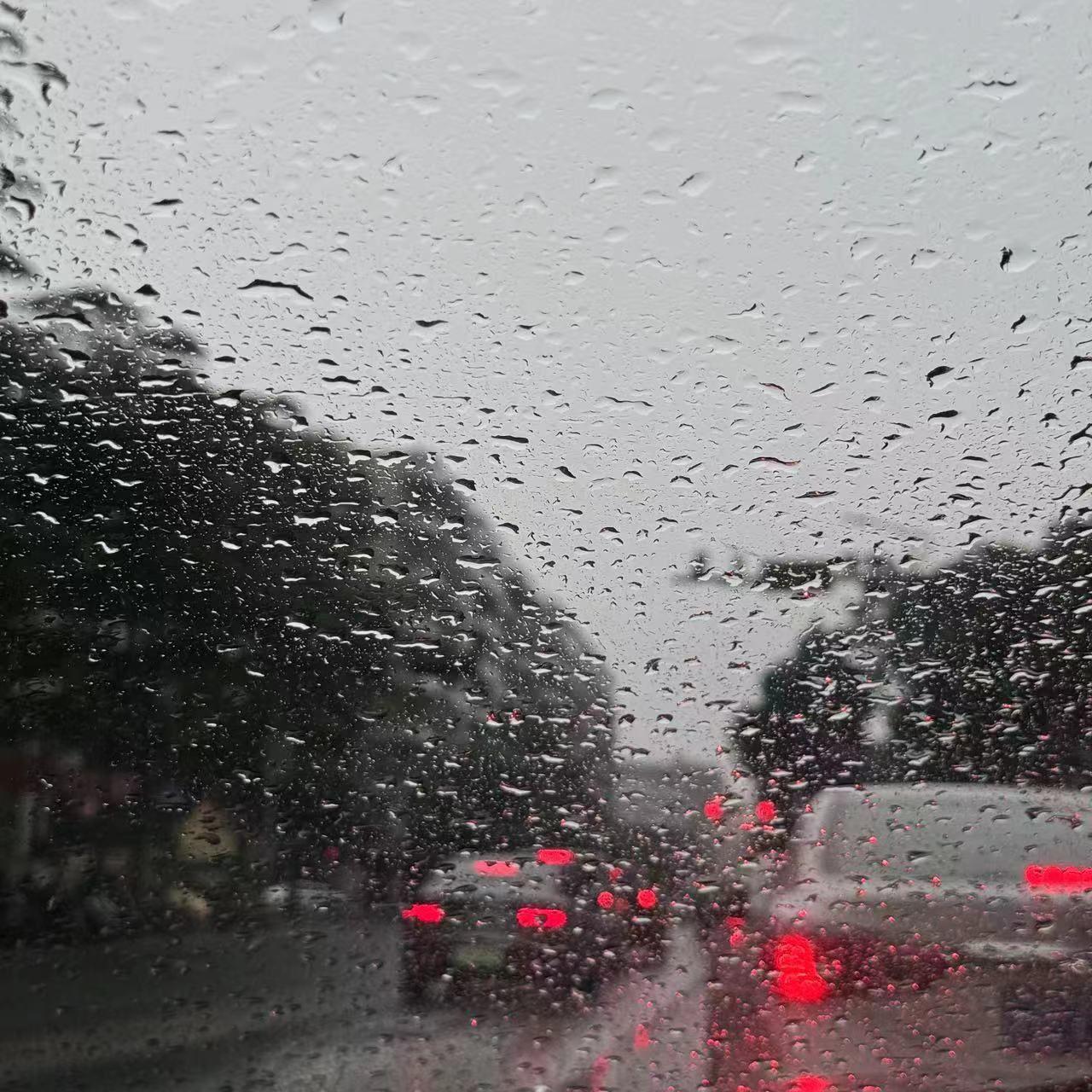 我想和你看不同的风景