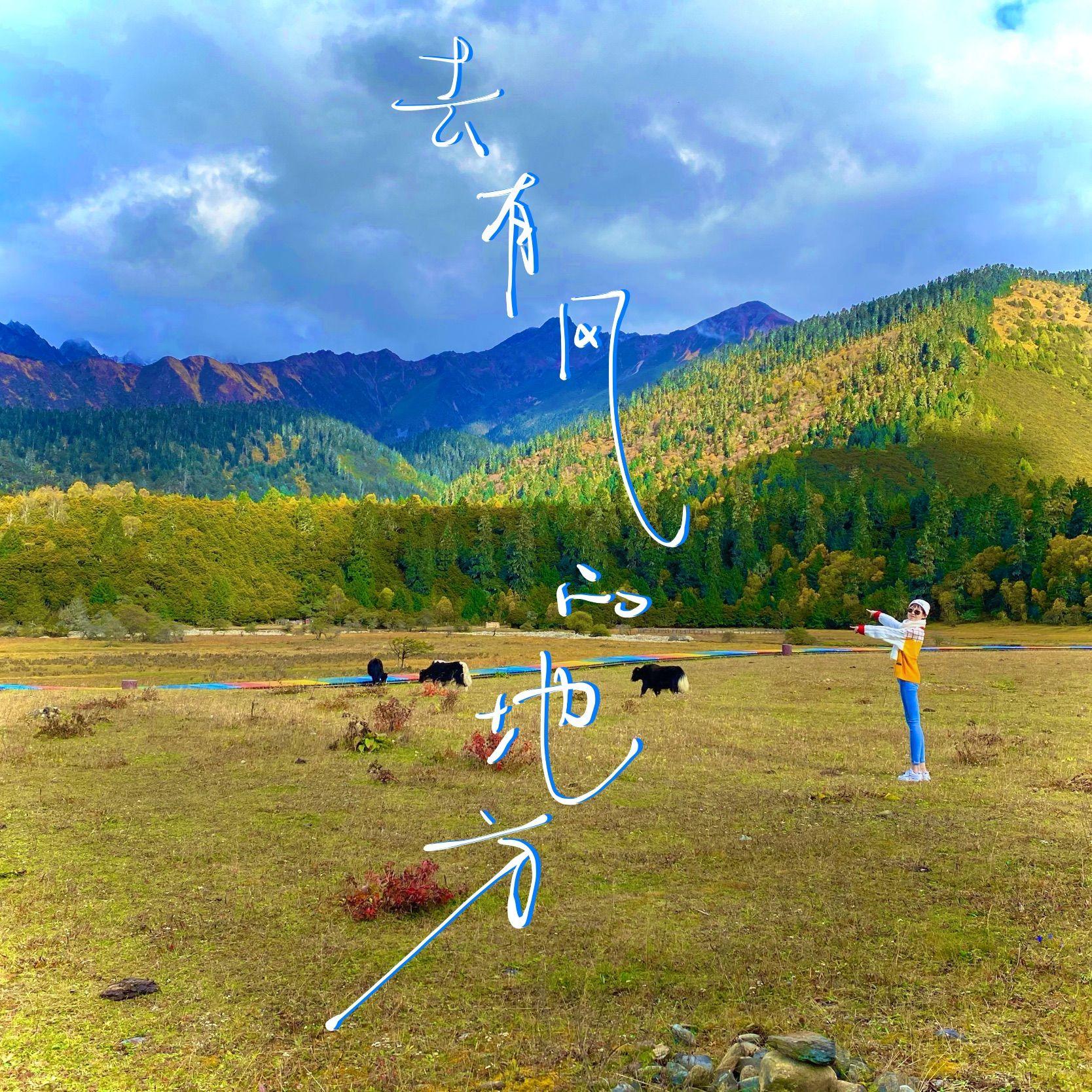 去有风的地方[吉他弹唱] - 今晚7芥末封面