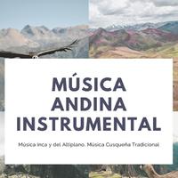 Música Andina Instrumental Specialistas