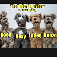 The Real Top Dog