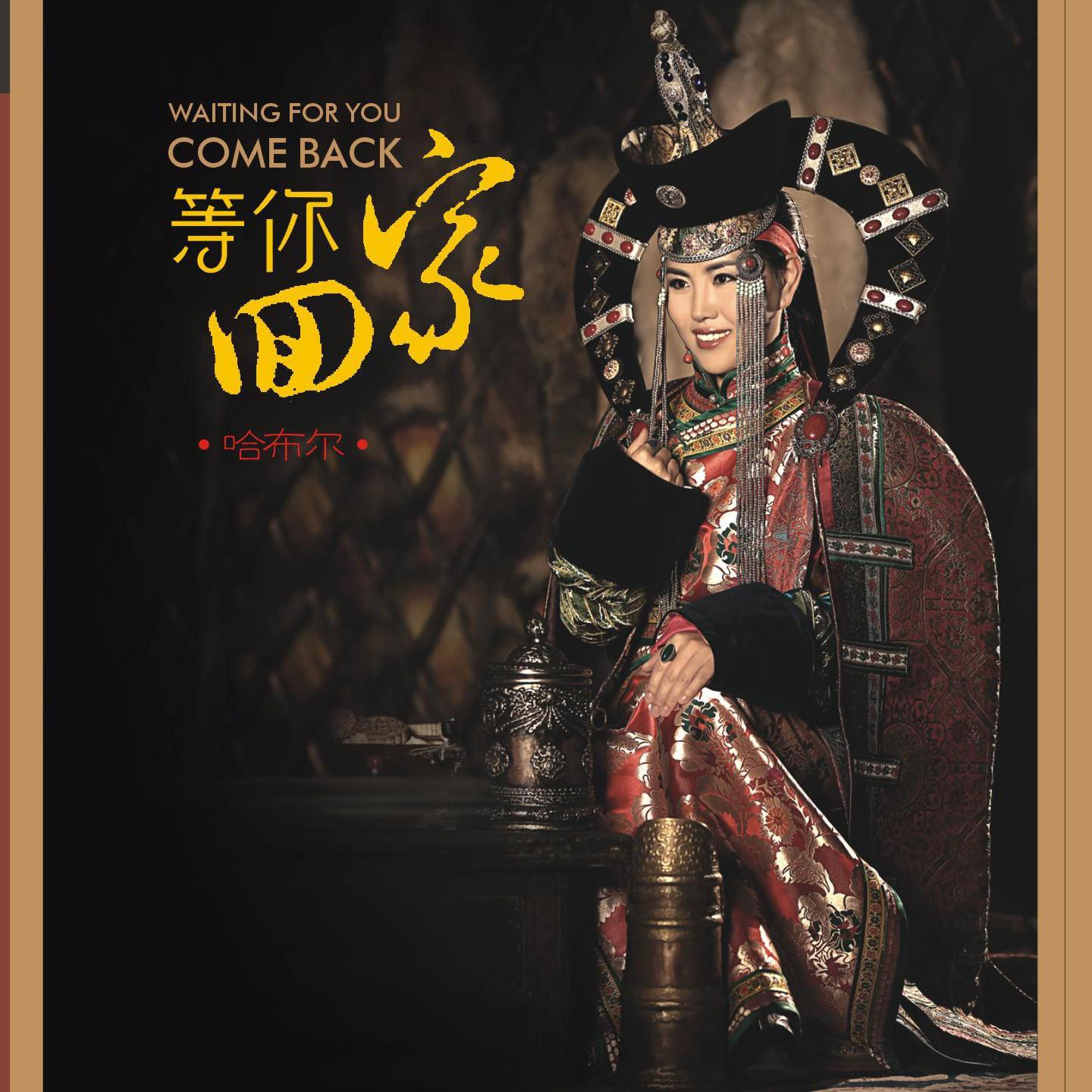 苍天般的阿拉善 (学唱版伴奏)封面