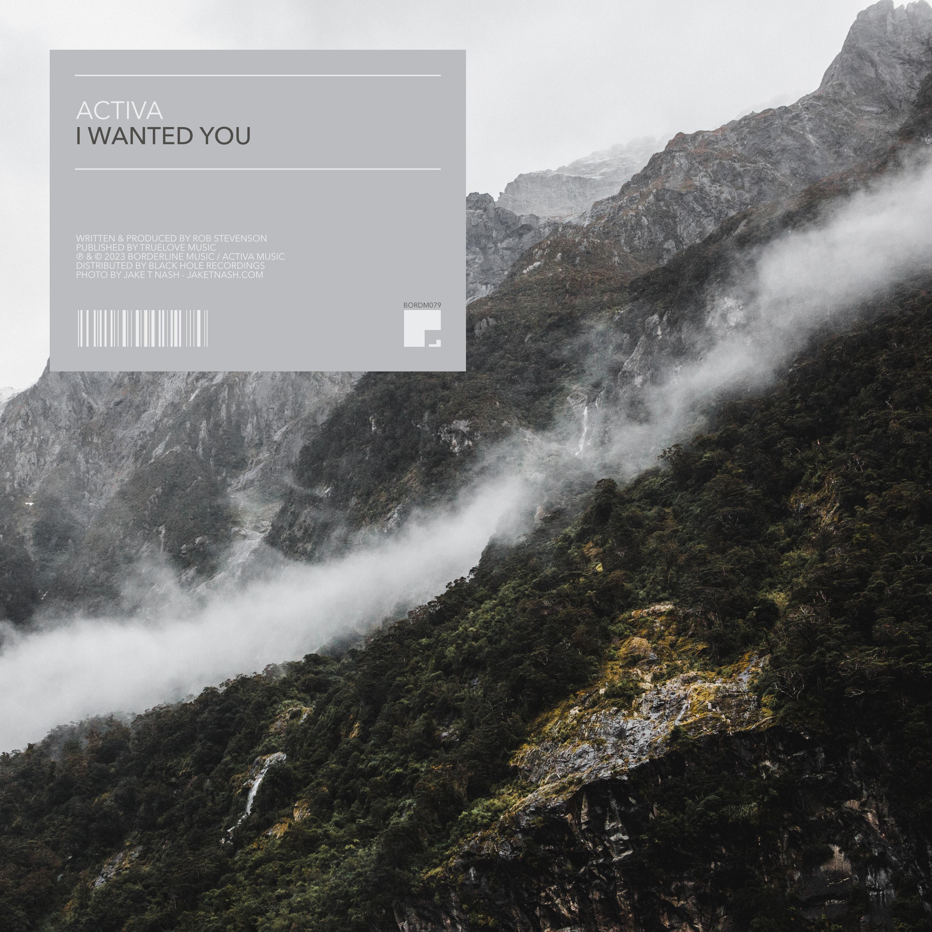 I Wanted You (Extended Mix)