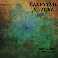 Celestial Nature - Tidal Nature Waves, Vol. 10