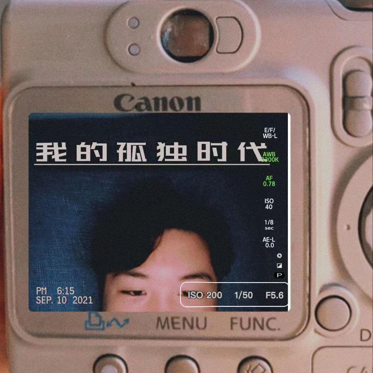 我的孤独时代封面