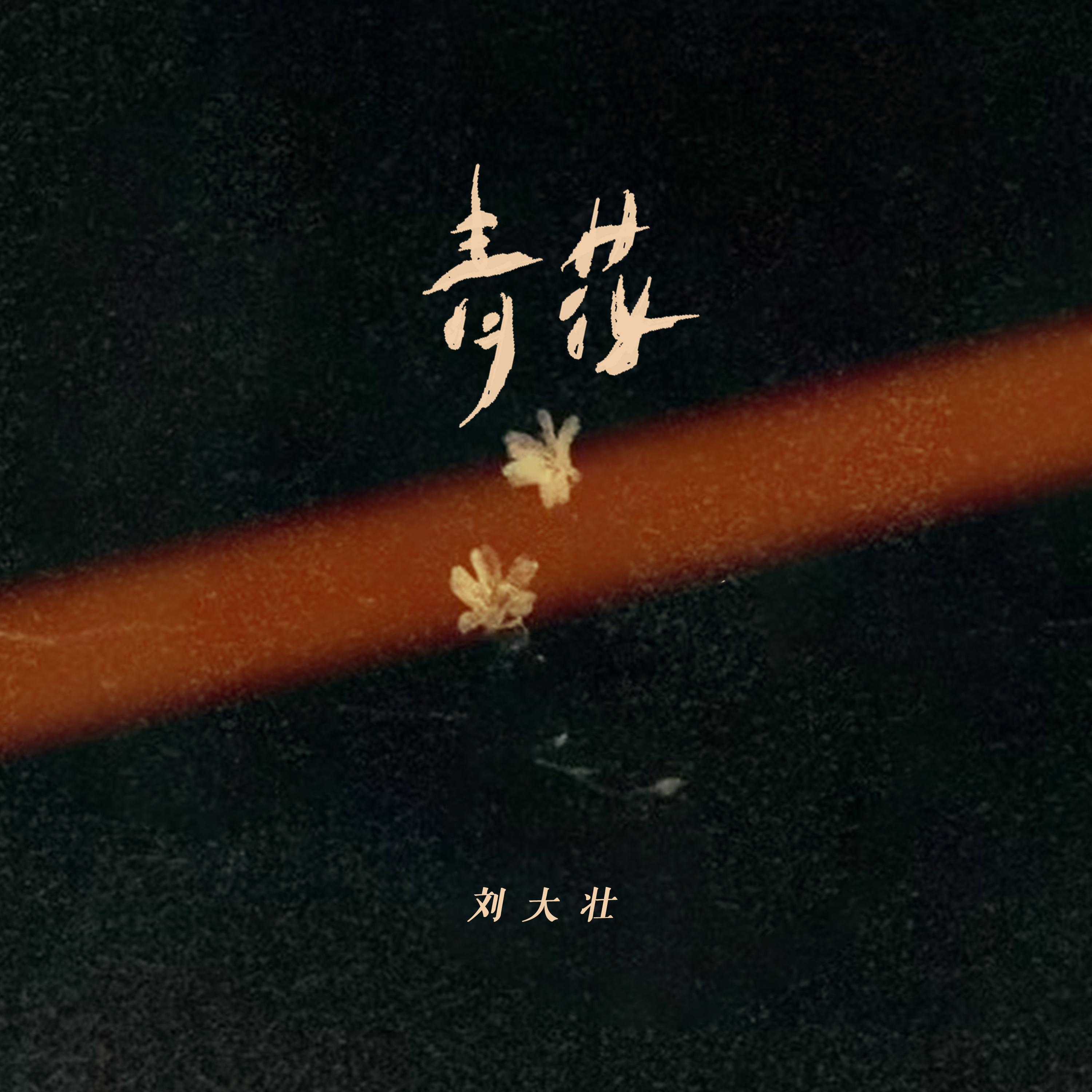 song-img