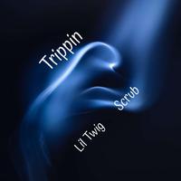 Trippin (feat. Scrub)