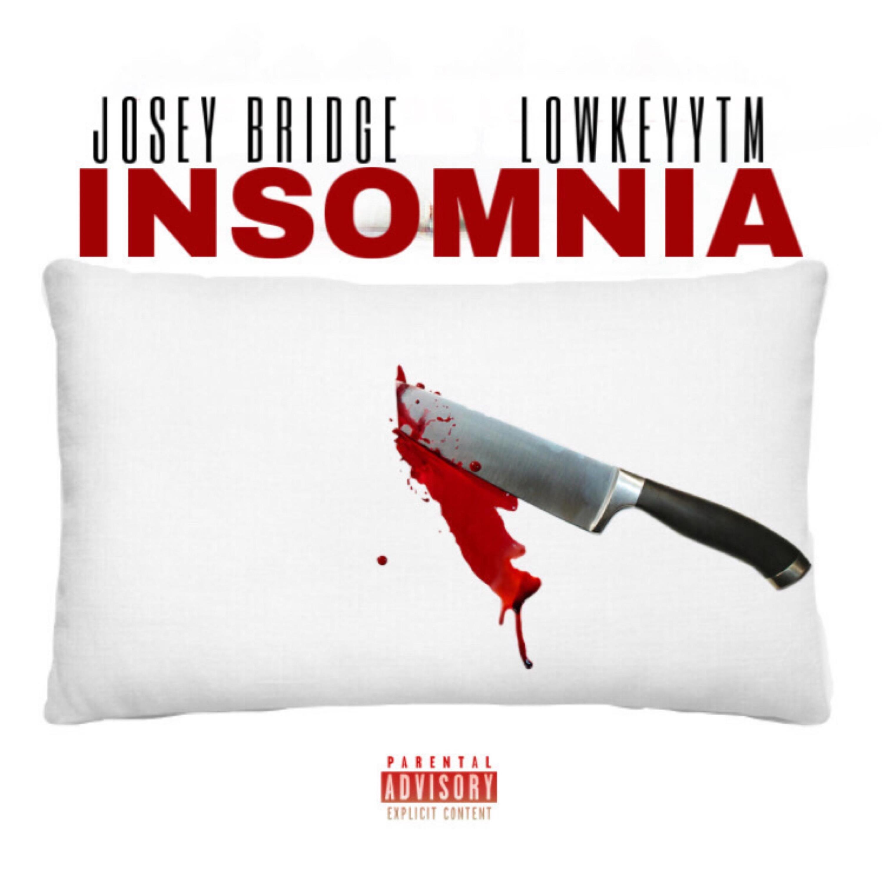 INSOMNIA (Instrumental)