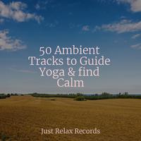 50 Ambient Tracks to Guide Yoga & find Calm