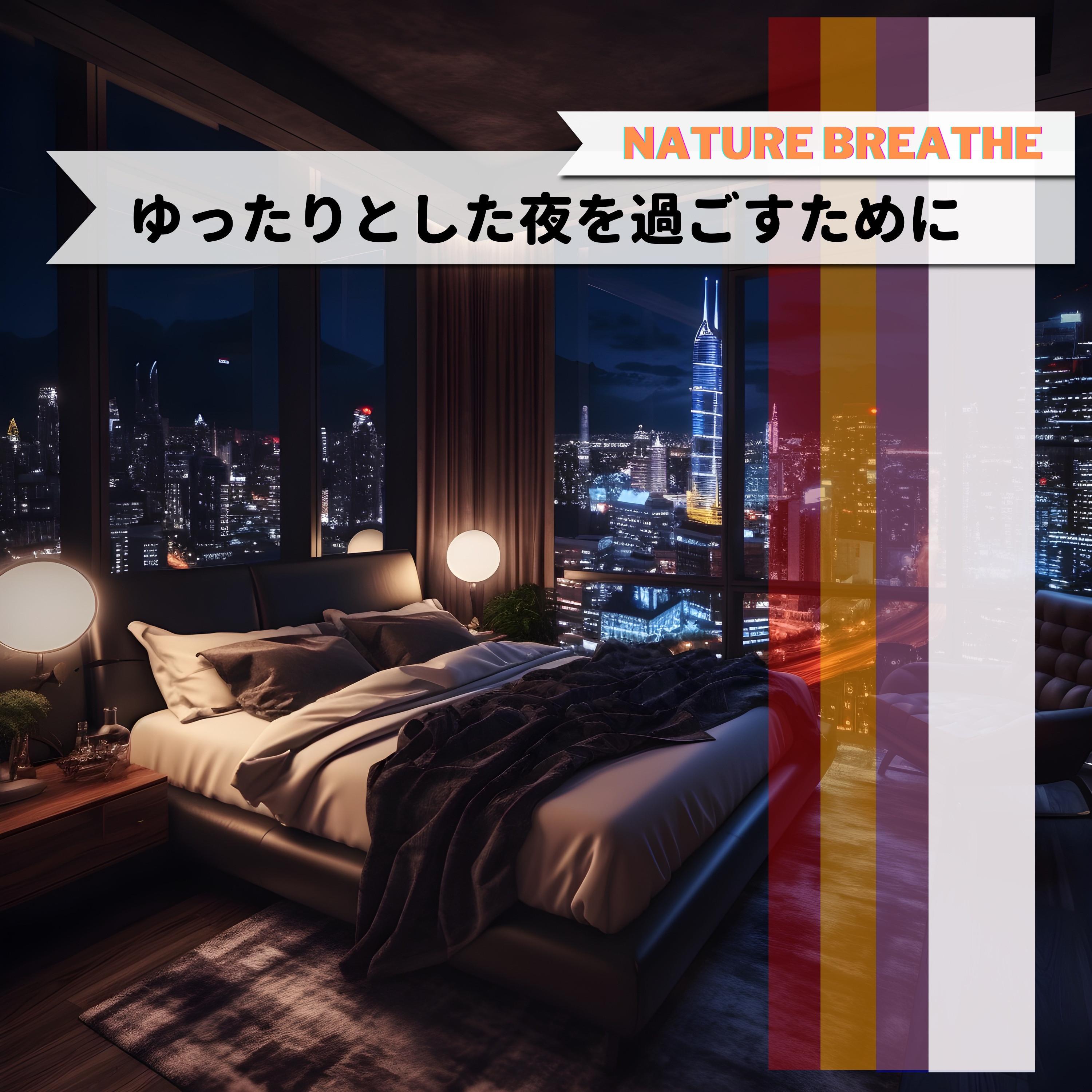 Starlight Contemplation Ease