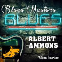 Blues Masters (Volume 14)