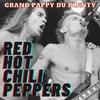 Red Hot Chili Peppers - Power of Equality (Live)