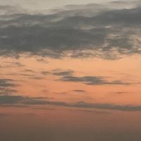 marvellous_life资料,marvellous_life最新歌曲,marvellous_lifeMV视频,marvellous_life音乐专辑,marvellous_life好听的歌
