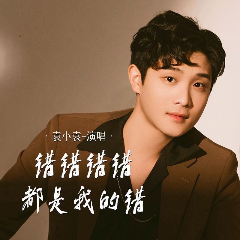 错错错错都是我的错封面