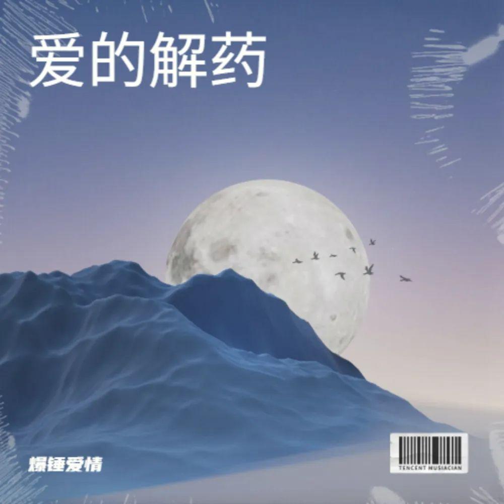 客气的房客 伴奏封面