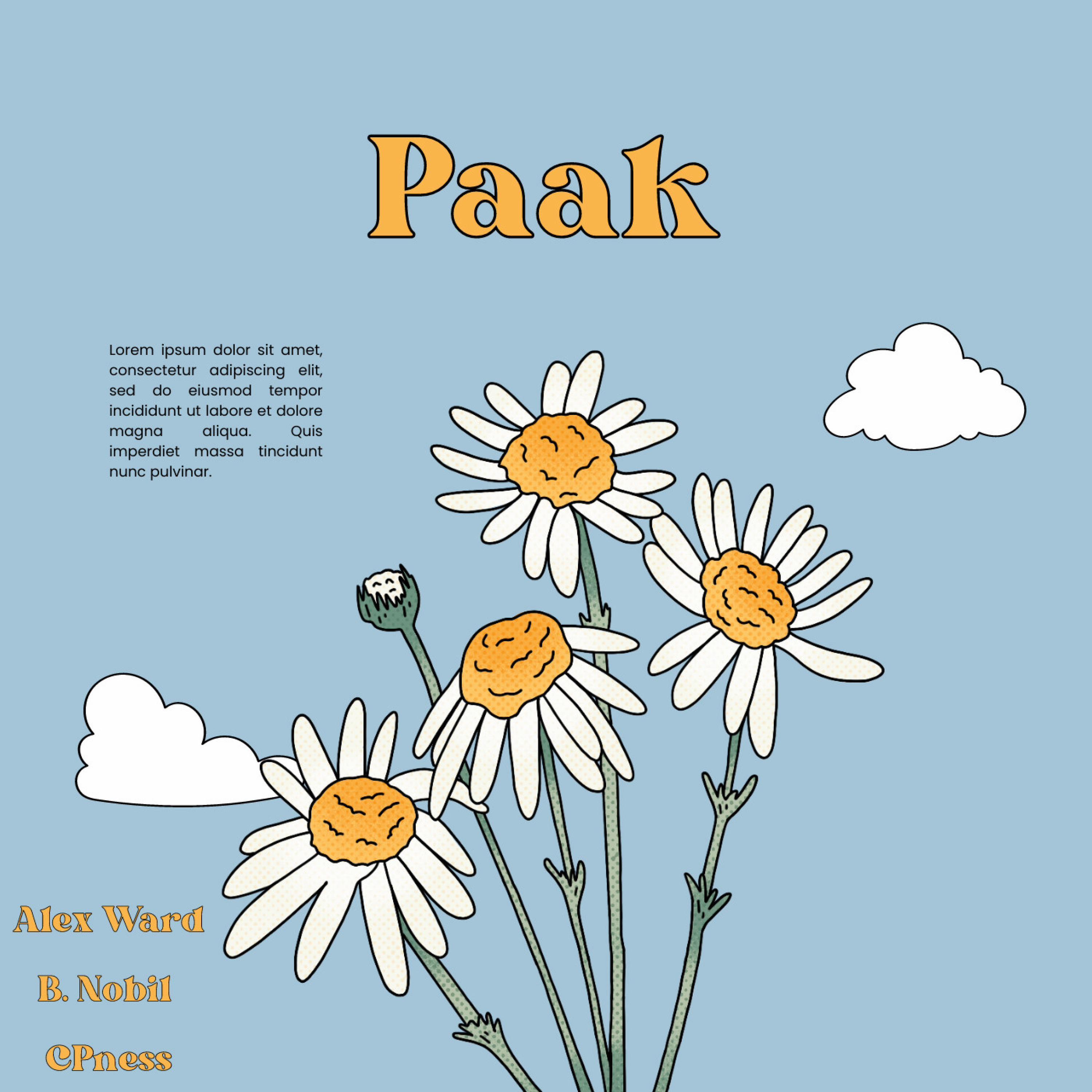 Paak (feat. CPness & B. Nobil)