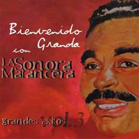 Grandes Exitos Vol. 3