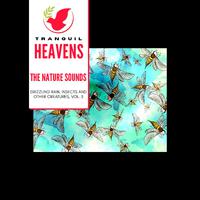 The Nature Sounds - Drizzling Rain, Insects and other Creatures, Vol. 3