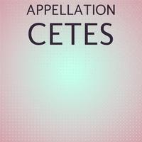 Appellation Cetes