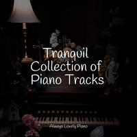 Tranquil Collection of Piano Tracks