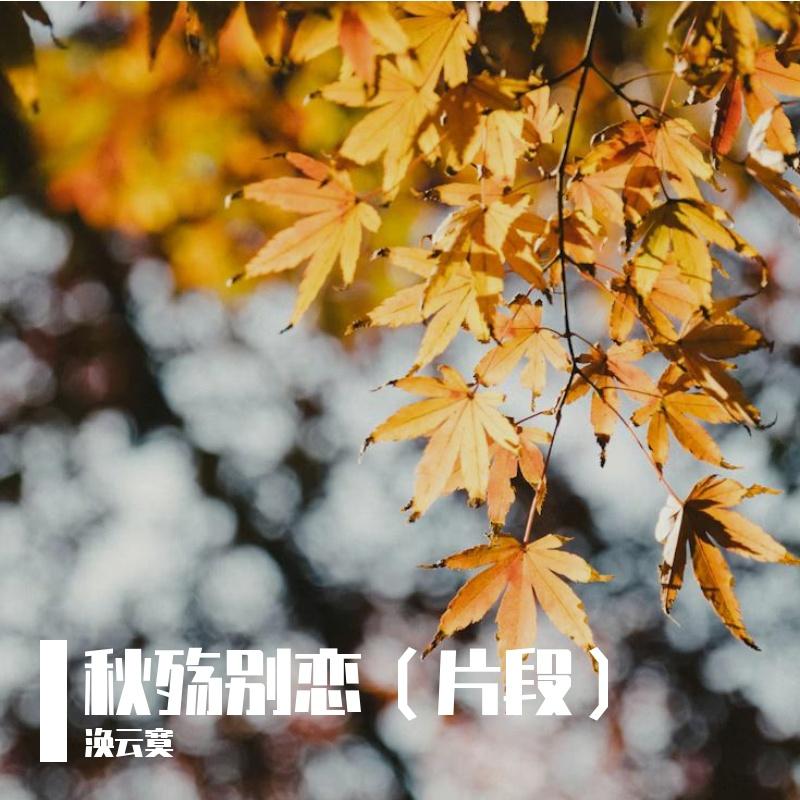 秋殇别恋封面