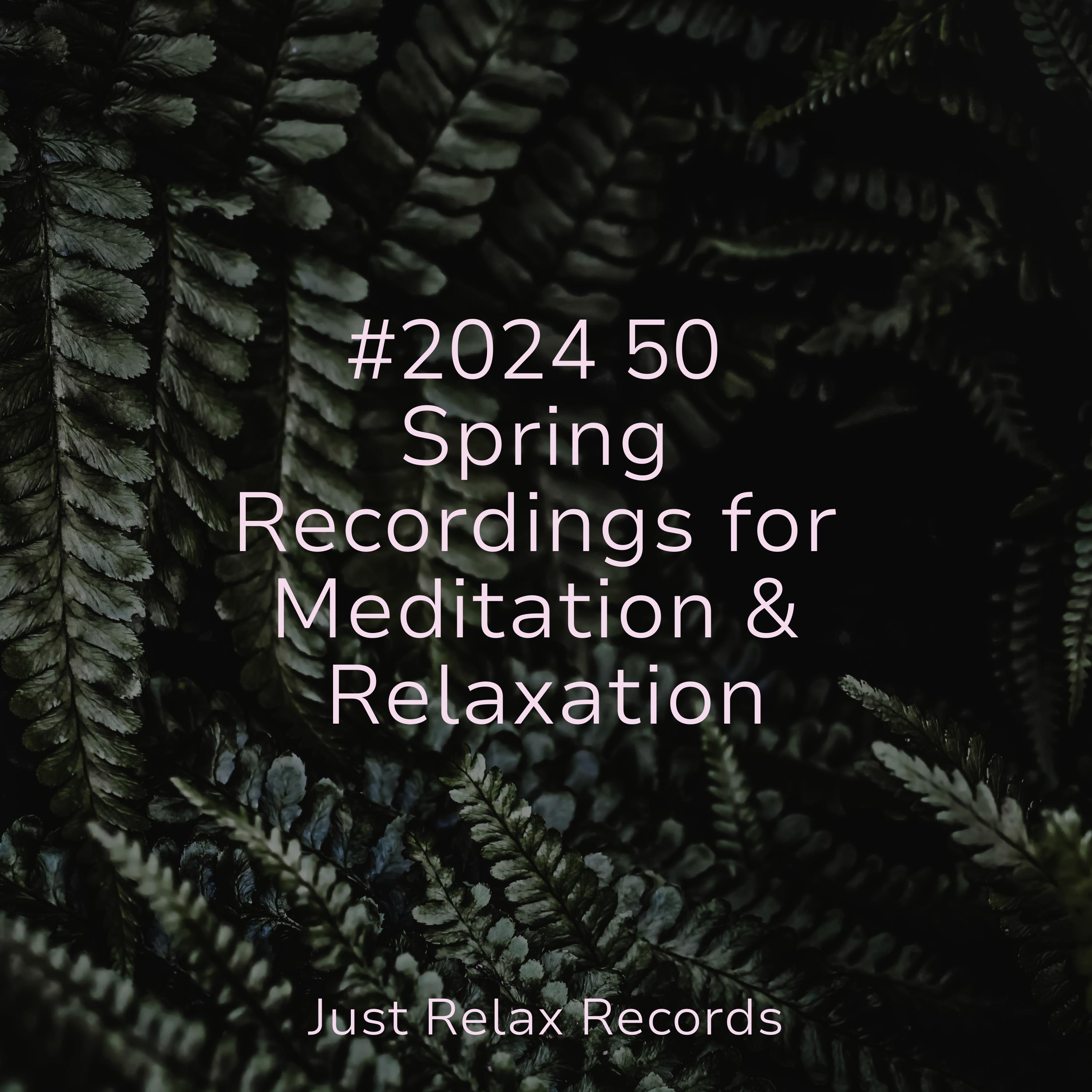 Midnight Frost Trail Best Relaxing SPA Music/Study Music & Sounds