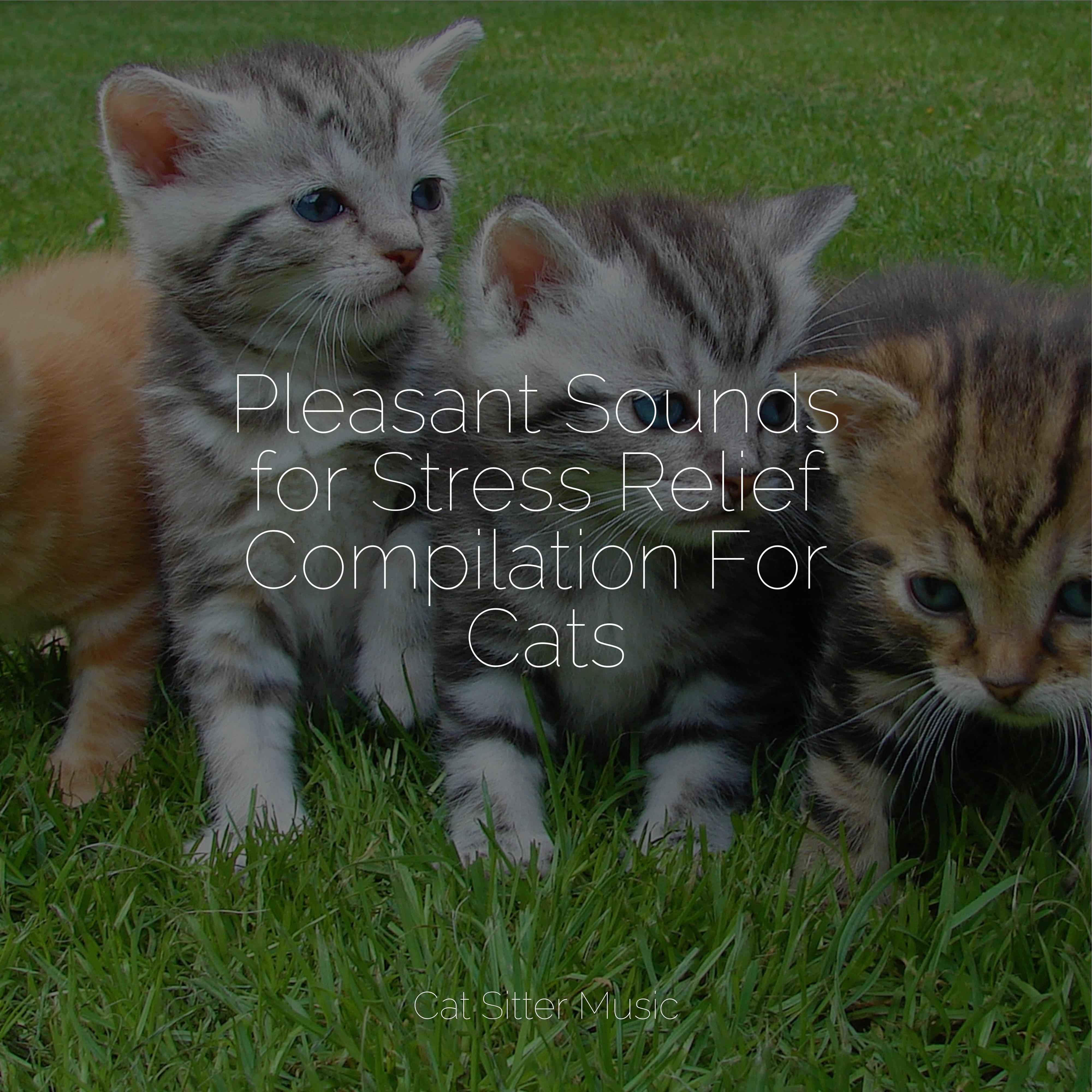 Cats Make Better Pets Than Dogs: A Comprehensive Analysis