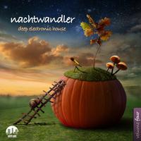 Nachtwandler, Vol. 4 - Deep Electronic House