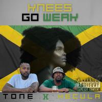 Knees Go Weak (feat. TONE)