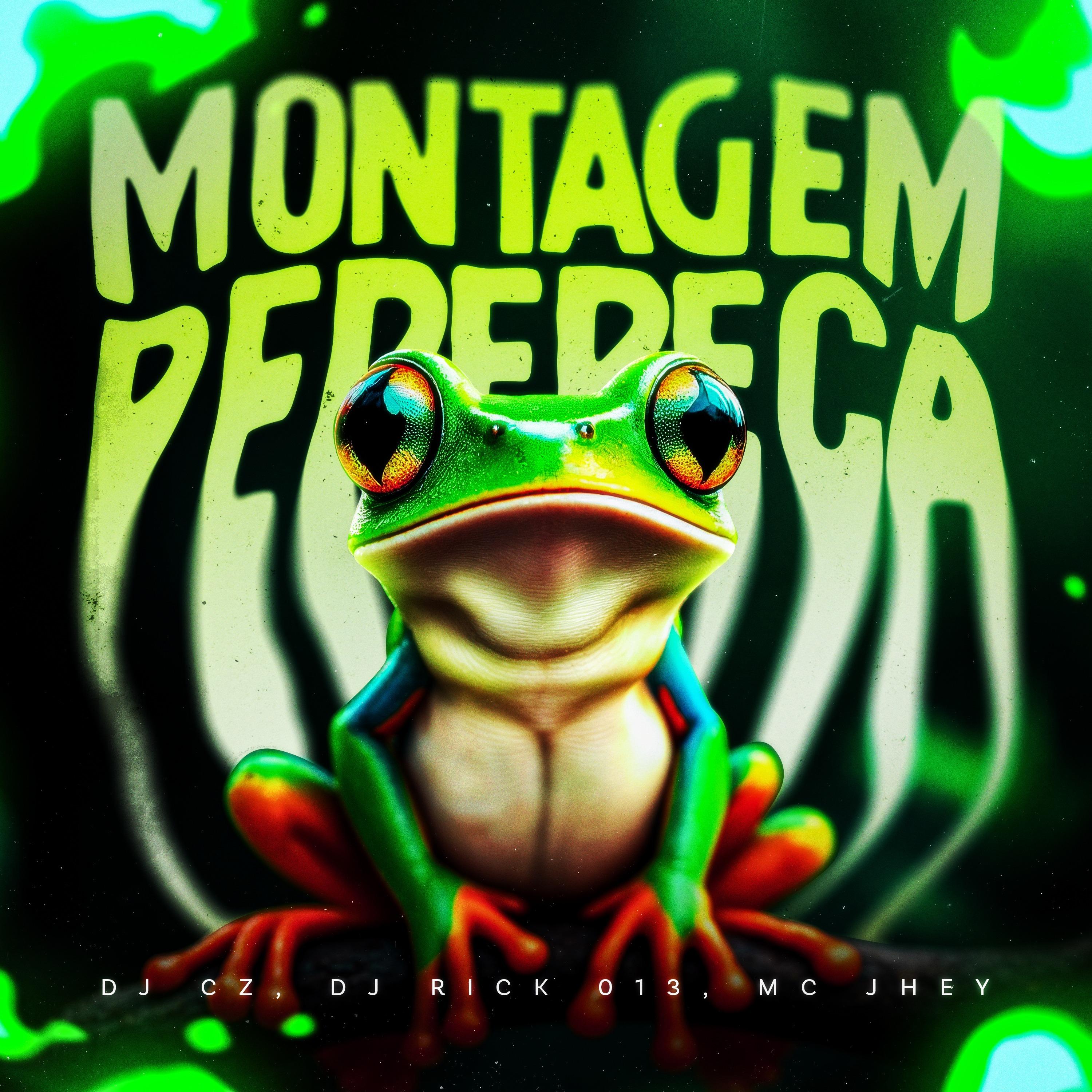 MONTAGEM PERERECA