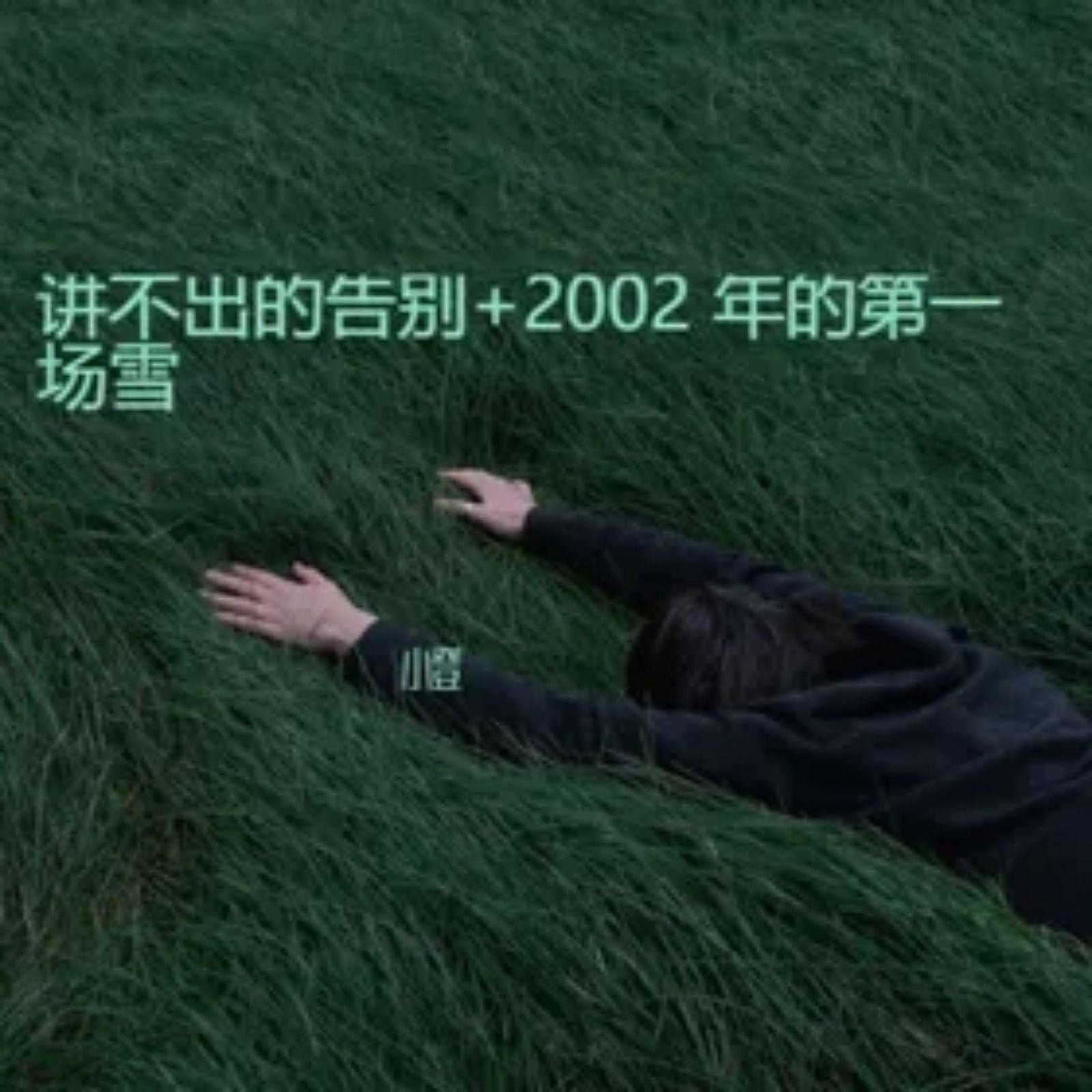 2002年的第一场雪+讲不出的告别(DJ版)封面