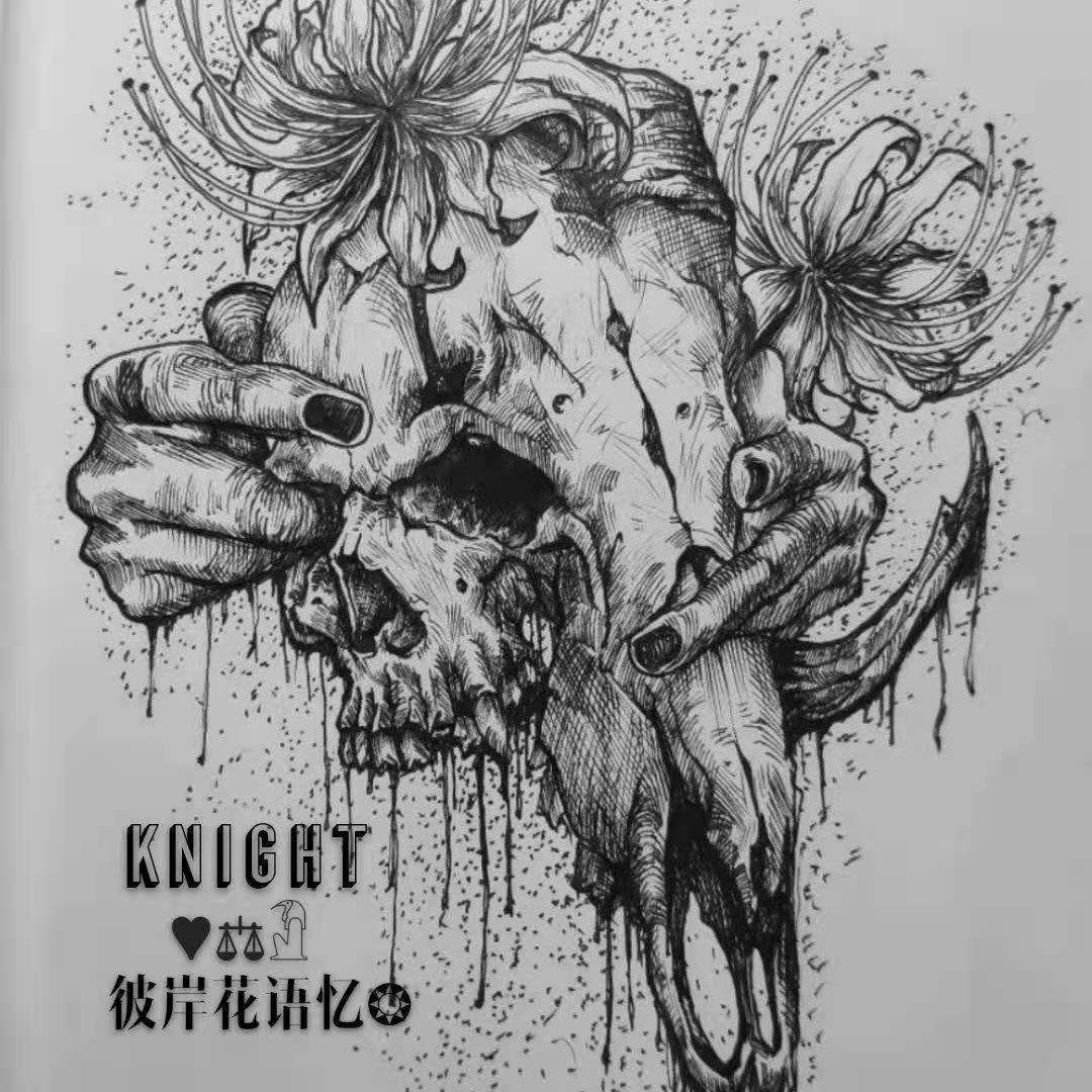 群星-眼朦（Knig_Ht remix）封面
