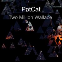 Two Million Wallace