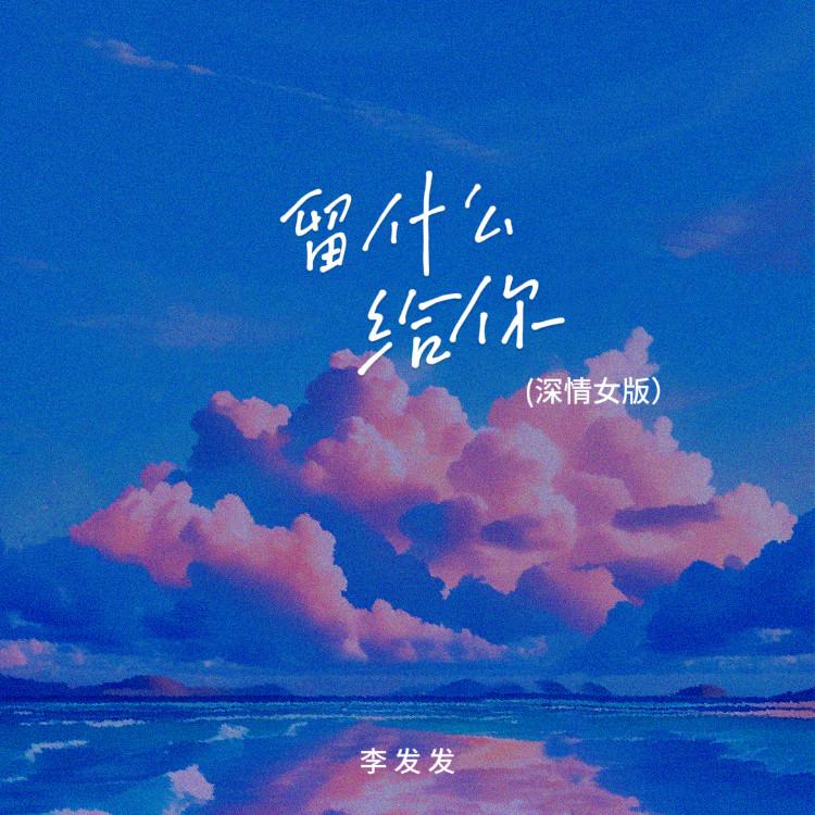 留什么给你(DJ版) - 李发发封面