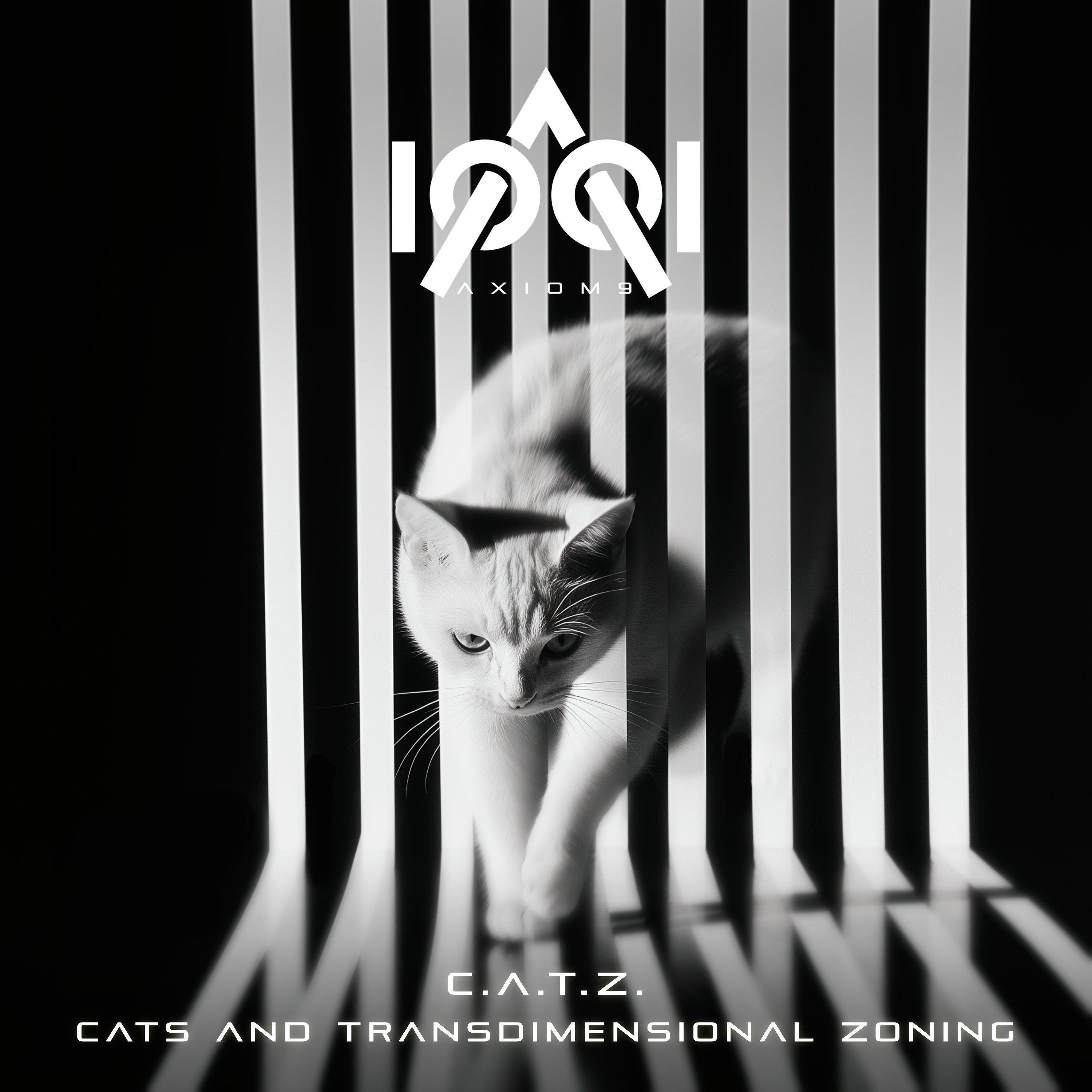 Cats And Transdimensional Zoning