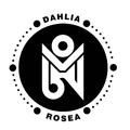 Dahlia Rosea(玫瑰博士)