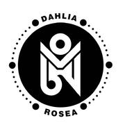 Dahlia Rosea(玫瑰博士)