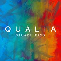 Qualia