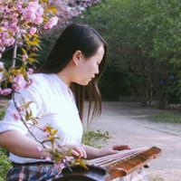 古琴韩夏资料,古琴韩夏最新歌曲,古琴韩夏MV视频,古琴韩夏音乐专辑,古琴韩夏好听的歌