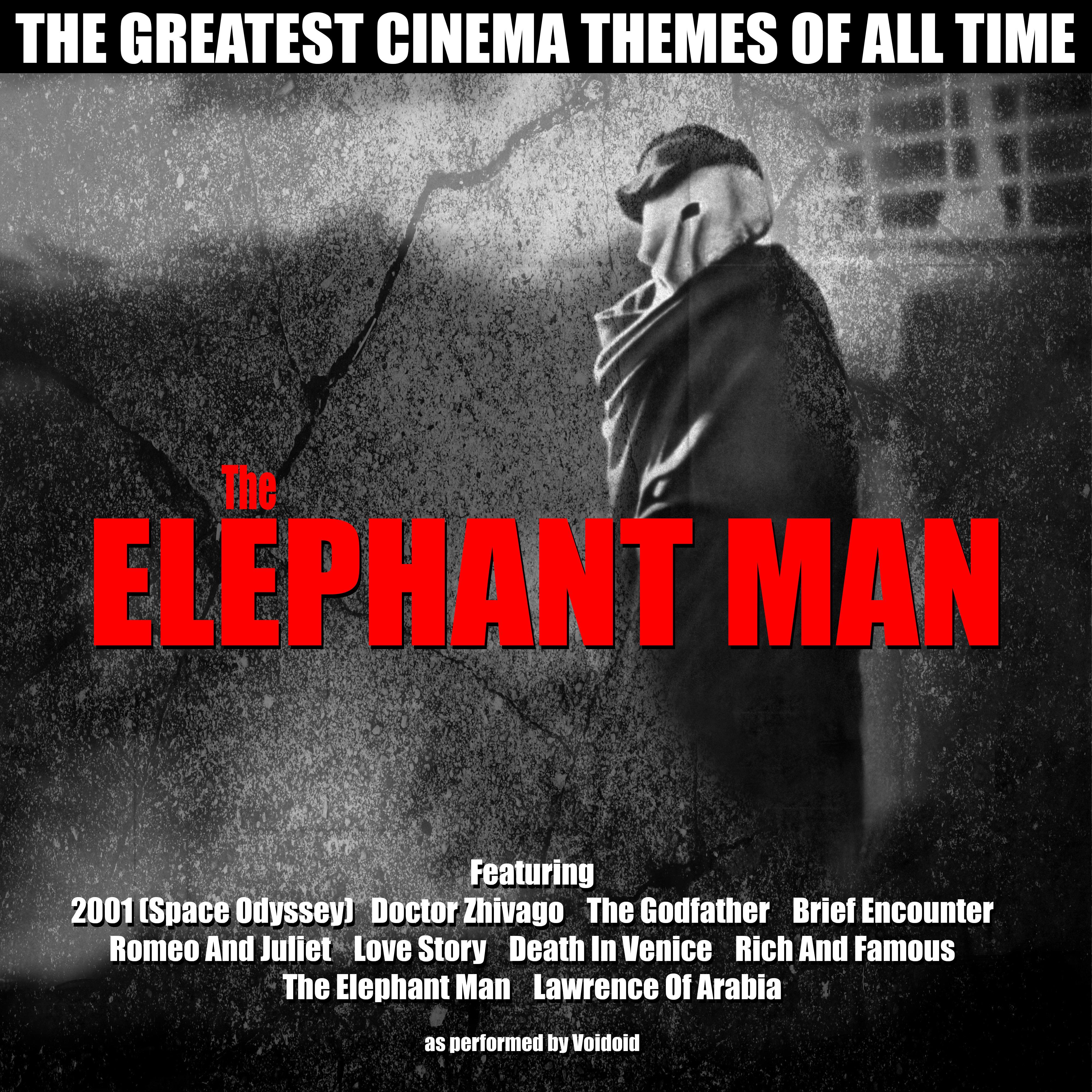 Doctor Zhivago (Lara's Theme)