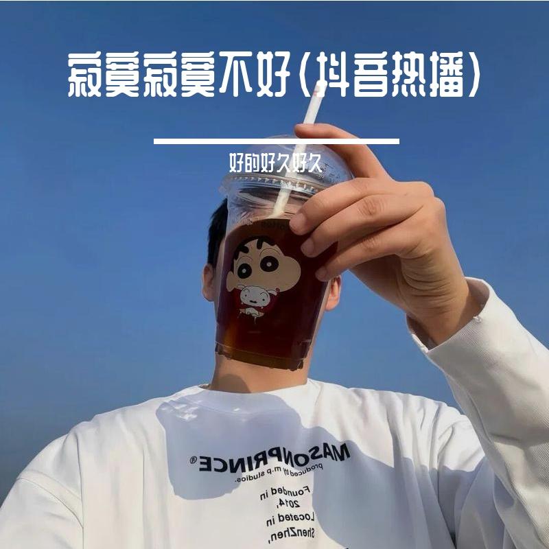 搀扶（加速版）封面