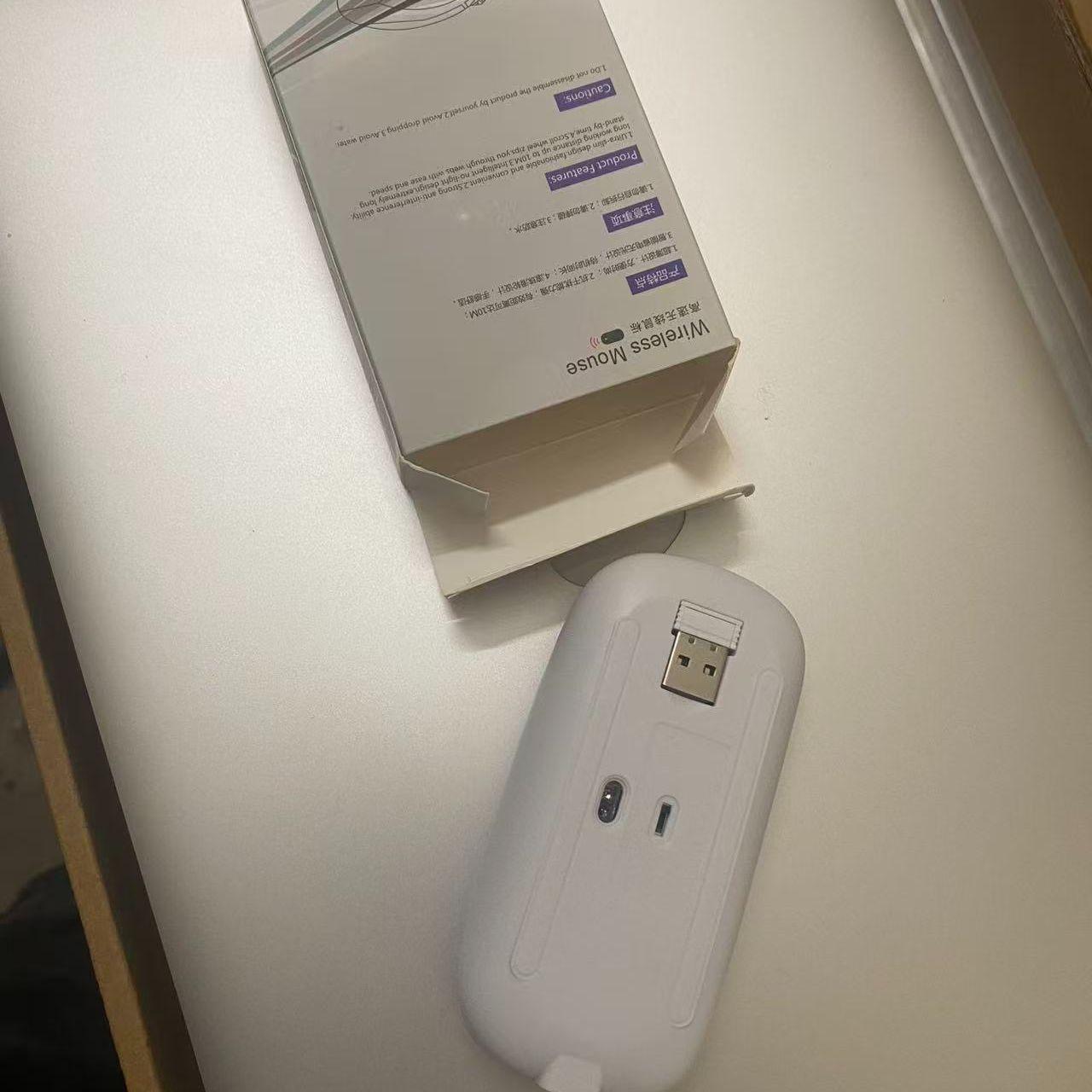 《候鸟掠过树梢的瞬间封面